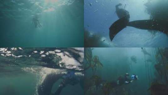 【合集】潜水员浮潜进入海里高清在线视频素材下载