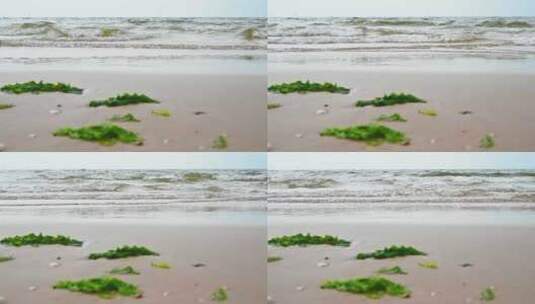 沙滩上的绿色海草与海浪4K高清在线视频素材下载