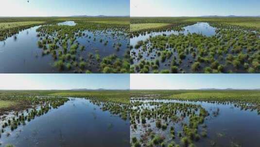 挠力河国家级自然保护区湿地航拍高清在线视频素材下载