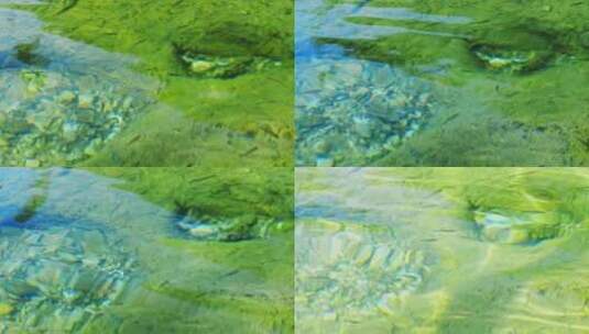 清澈见底水里的小鱼群高清在线视频素材下载