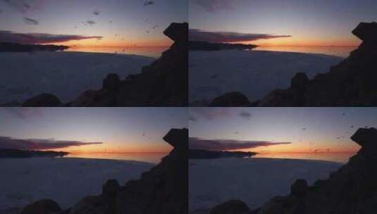 傍晚的北极海边飞过的海鸥高清在线视频素材下载