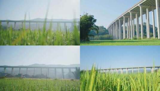 稻田与高速公路高清在线视频素材下载