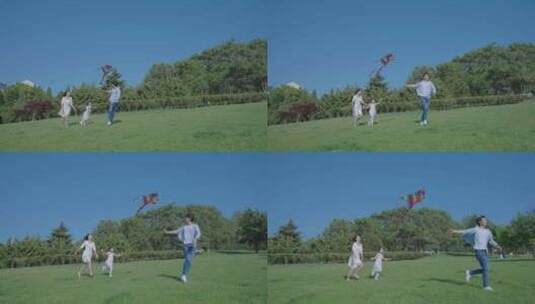 一家人草地上放风筝高清在线视频素材下载
