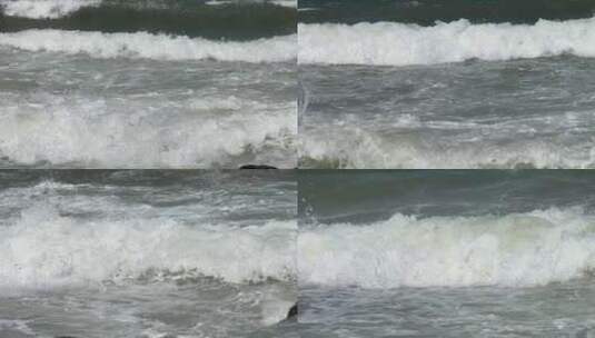 沙滩海水特写潮汐浪花拍打海岸海边涨潮退潮高清在线视频素材下载