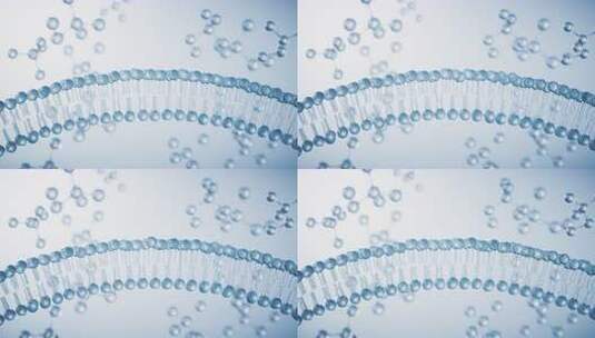 透明细胞膜结构，三维渲染。高清在线视频素材下载