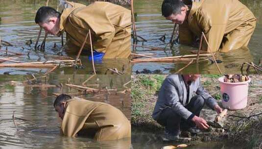 池塘挖藕高清在线视频素材下载