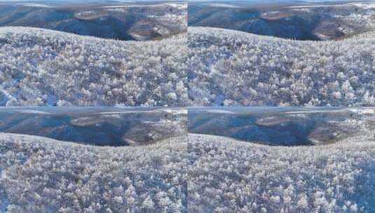 银装素裹的冬日山林雪景高清在线视频素材下载