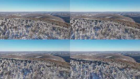 银装素裹的冬日山林雪景高清在线视频素材下载