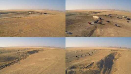 航拍沙漠地区的牛群高清在线视频素材下载