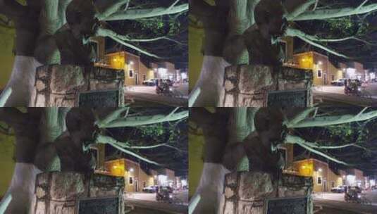 墨西哥伊萨马尔小镇雕像广场夜景地拍高清在线视频素材下载