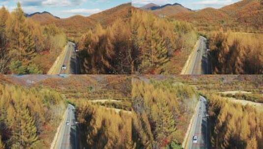 东北秋季山林公路日落美丽景色航拍风光高清在线视频素材下载