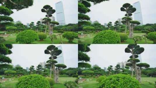 园艺雕塑植物园高清在线视频素材下载