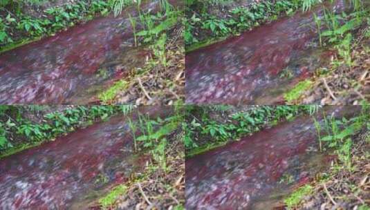 户外森林中的河水流动高清在线视频素材下载