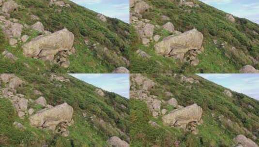 山上的山羊在岩石峭壁上爬行山上石头羊群高清在线视频素材下载