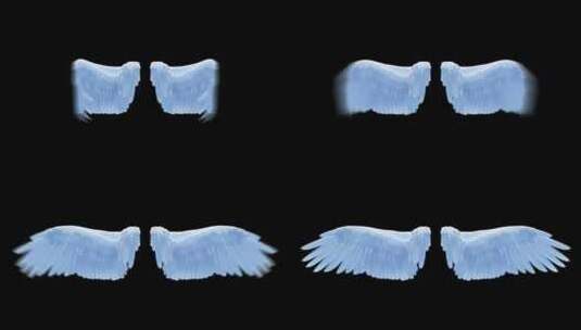 圣洁的天使白色羽毛翅膀特效合3高清在线视频素材下载