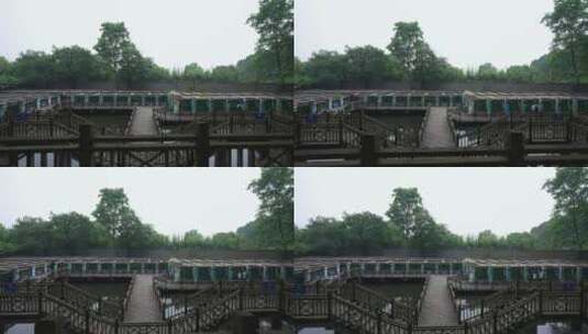 中国科学院武汉植物园沉水植物区高清在线视频素材下载