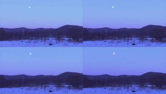 东北森林 树梢 圆月 月升 延时 远景 雪景高清在线视频素材下载