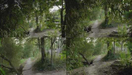 乡间小路空境竹林高清在线视频素材下载
