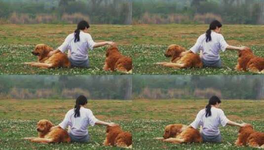 长腿美女和金毛宠物犬在春天开满花草地玩耍高清在线视频素材下载