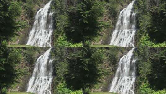 林间的瀑布高清在线视频素材下载