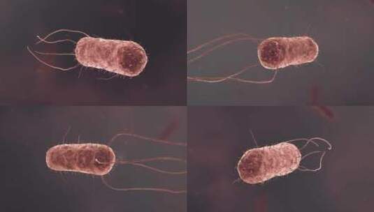 医疗病菌病毒细菌分子病原体生物三维动画高清在线视频素材下载