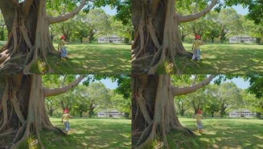 小朋友 小学生 亲近大自然 大榕树 树根高清在线视频素材下载