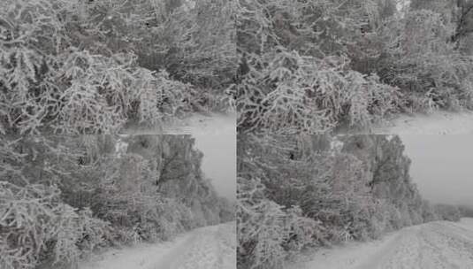 大自然冬天冰雪覆盖的森林高山雪山美景特写高清在线视频素材下载