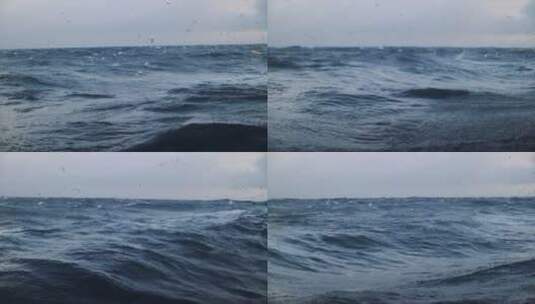 翻滚的海面海浪海鸥海水鱼潮高清在线视频素材下载
