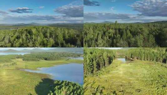 航拍绿色森林河流湖泊天然氧吧高清在线视频素材下载
