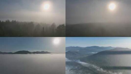 云雾森林云海日出云雾缭绕高清在线视频素材下载