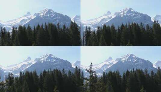 从缆车上看到的森林和阿尔卑斯山高清在线视频素材下载