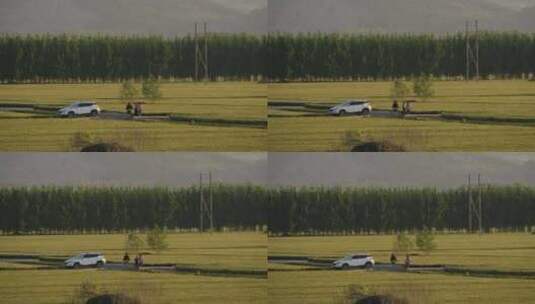 黄昏下田野一台白色汽车和快乐的一家三口高清在线视频素材下载