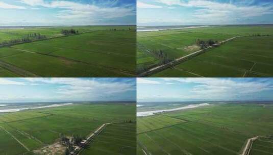 黄河农业生态稻田-大地平原河流高清在线视频素材下载