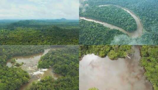 热带雨林鸟瞰图航拍雨林植被环境保护生态高清在线视频素材下载