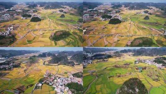 4k航拍农业乡村水稻稻田图案高清在线视频素材下载