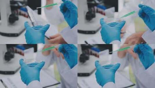 实验室进行医学研究的研究人员高清在线视频素材下载
