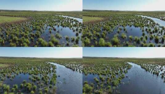 挠力河国家级自然保护区湿地航拍高清在线视频素材下载