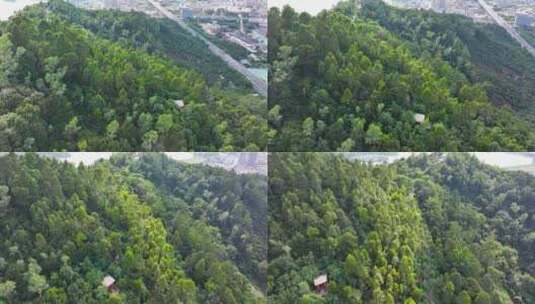 4K深圳市光明大雁山森林公园10高清在线视频素材下载