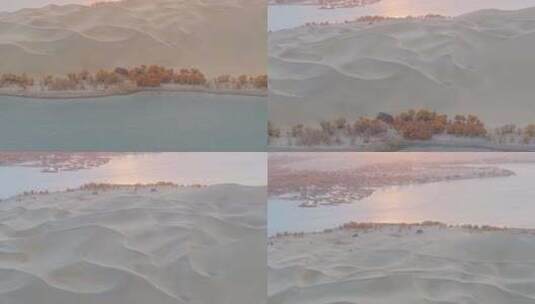 航拍秋天新疆罗布湖日出高清在线视频素材下载