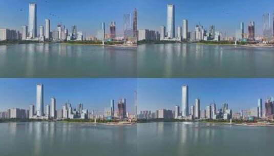 4K深圳湾鸬鹚生态航拍36高清在线视频素材下载