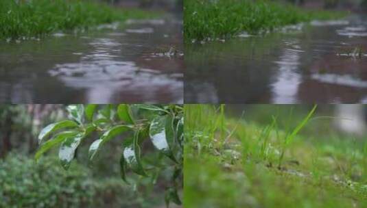 雨天雨滴在跳舞高清在线视频素材下载