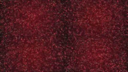 红细胞 细胞 血小板高清在线视频素材下载