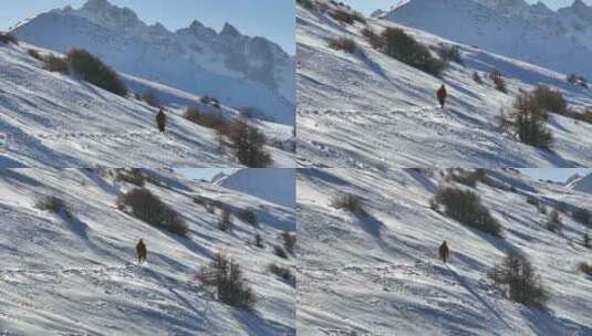 实拍登雪山画面高清在线视频素材下载