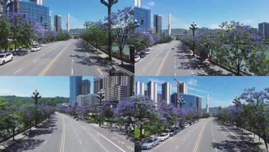 宜宾临港三江新区的蓝花楹大道航拍高清在线视频素材下载