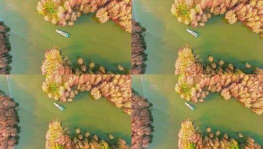 航拍初春江苏常熟尚湖景区水杉林与竹筏风光高清在线视频素材下载