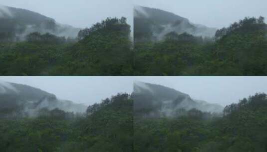 云雾森林雨景高清在线视频素材下载