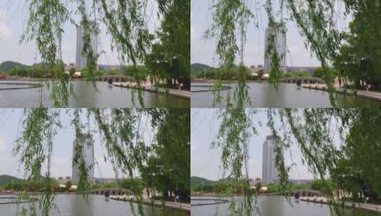 实拍公园中的垂柳飘动3高清在线视频素材下载