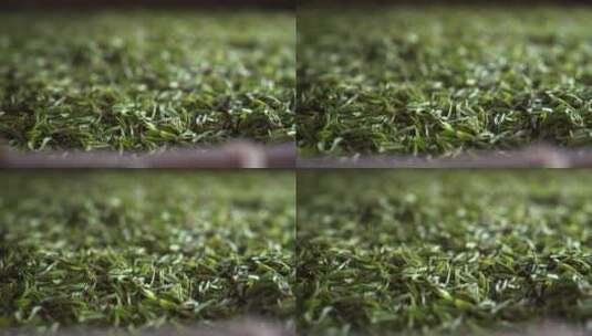 春天采摘的茶叶鲜叶高清在线视频素材下载