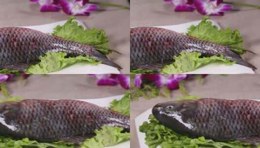 水产鲜美草鱼 (6)高清在线视频素材下载
