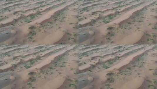 沙漠中的绿色植被航拍高清在线视频素材下载